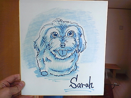 お描きしたペットの似顔絵